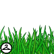 Grass Foreground