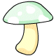 mushroom17-6495261
